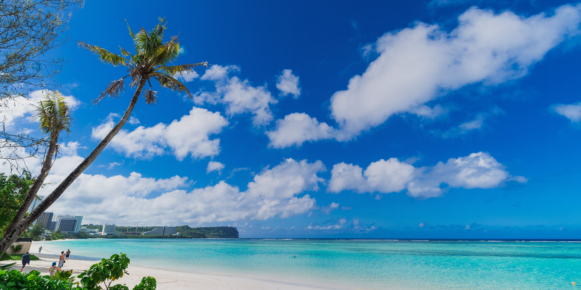 車の便利も快適も、株式会社TACで